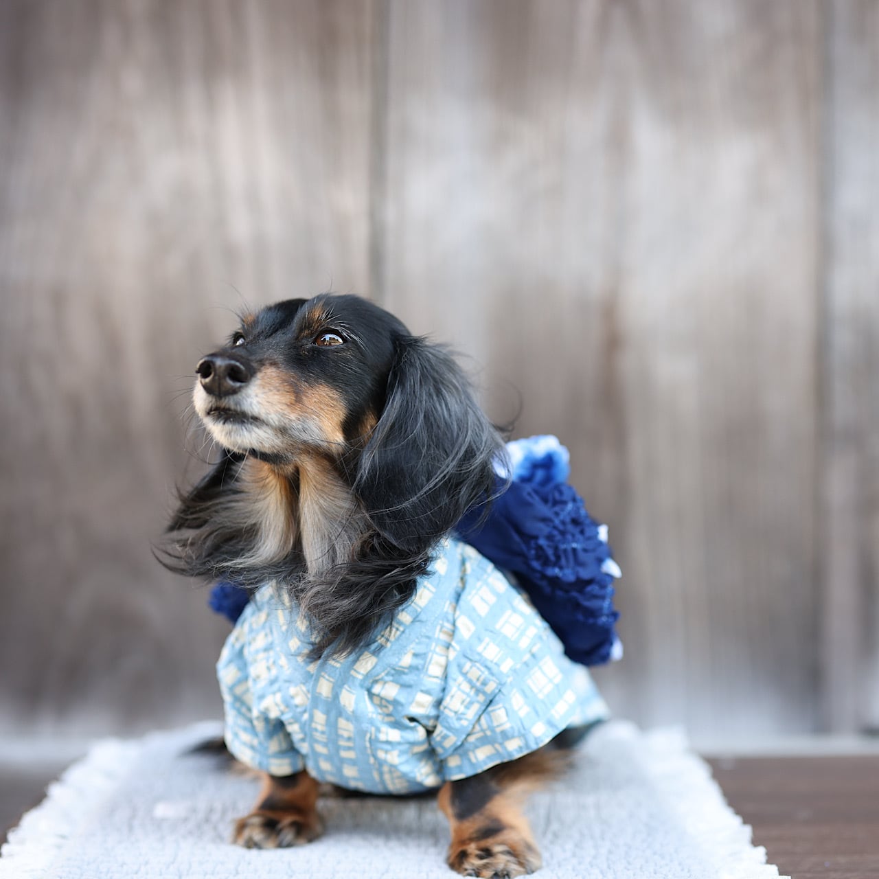 【受注2026】浴衣 "格子×兵児帯"(リップル)アクア/ブラック