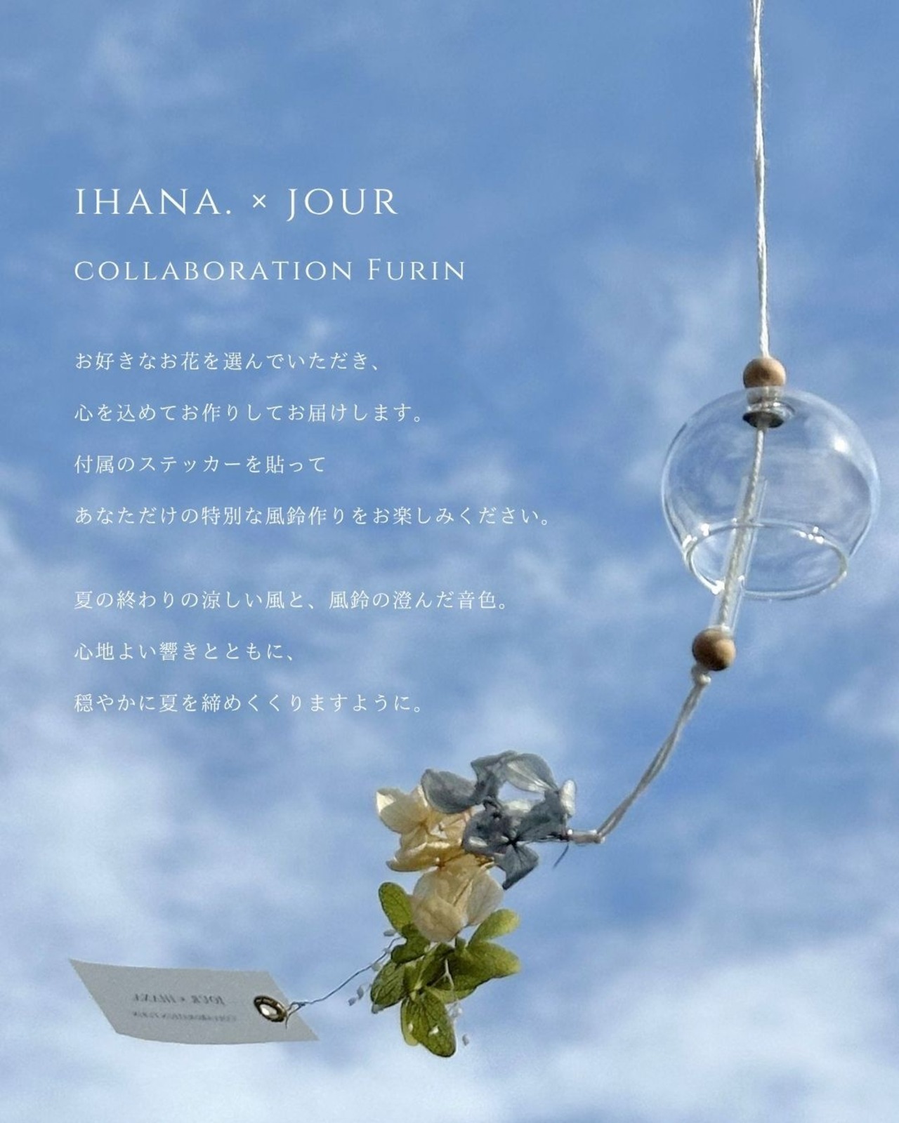 【IHANA × JOUR】FURIN (大サイズ)