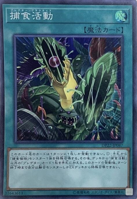 【Bランク】捕食活動(スーパー)