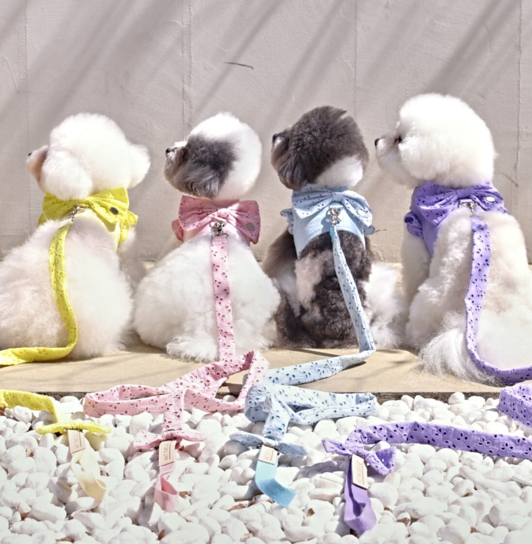 Sサイズ即納【pat the dog】Islet Ribbon Harness《4Color》
