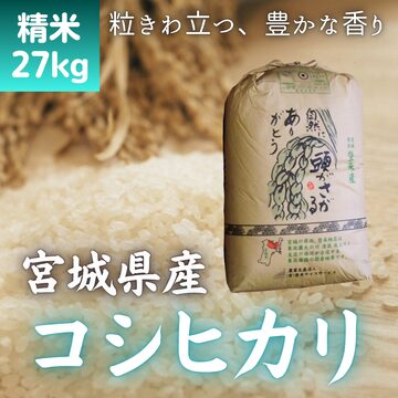 業務用米】佐賀県産ブレンド米 【小粒】 膳の匠 白米30kg （10kg×3袋