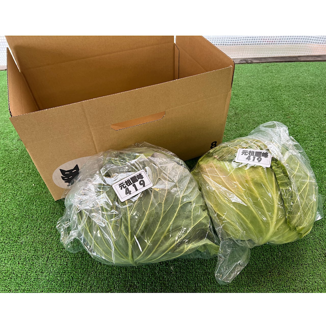 元祖- 麗峰419キャベツ〜2個セット〜 | 久保さんちの新鮮野菜直売所