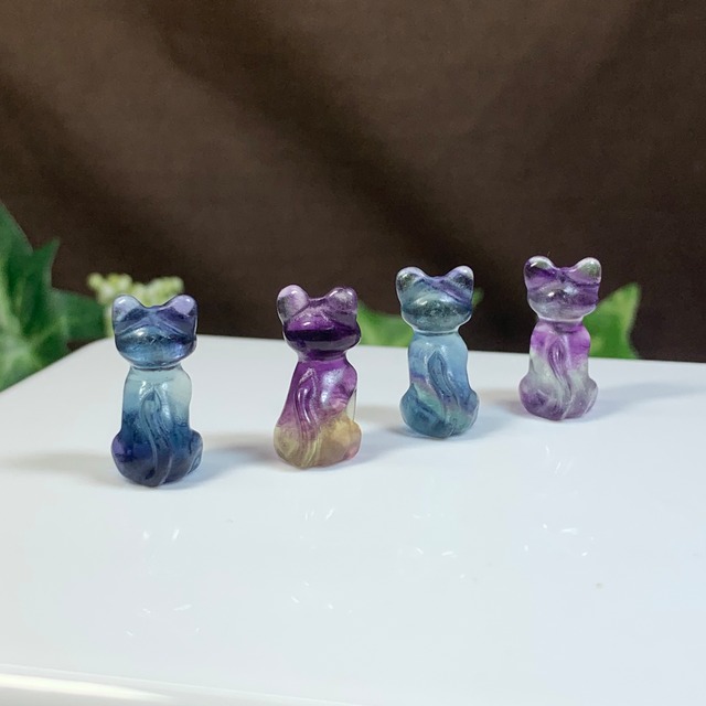 フローライトねこちゃんの集い場・フローライト