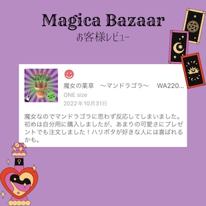 魔女の薬草　〜マンドラゴラ〜　 WA22017