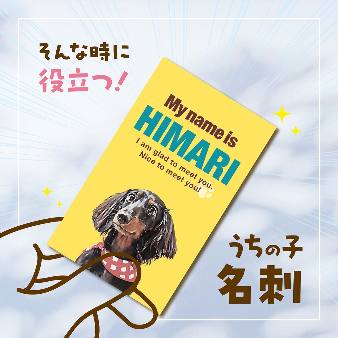 名刺 〈ポップstyle〉 ☆100枚入 | ひまわんギャラリー | 〈オーダー