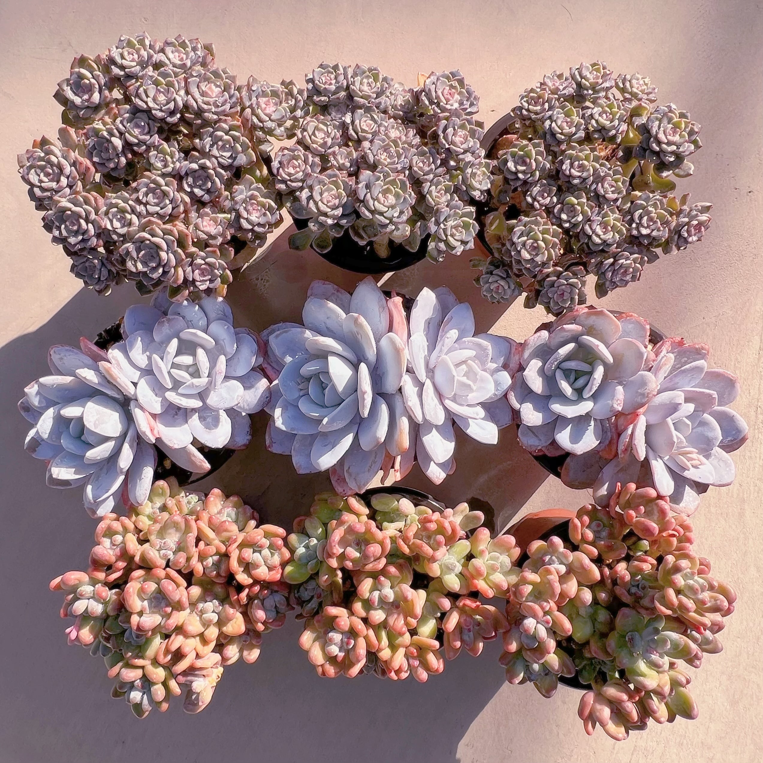 BASE販売会セット004