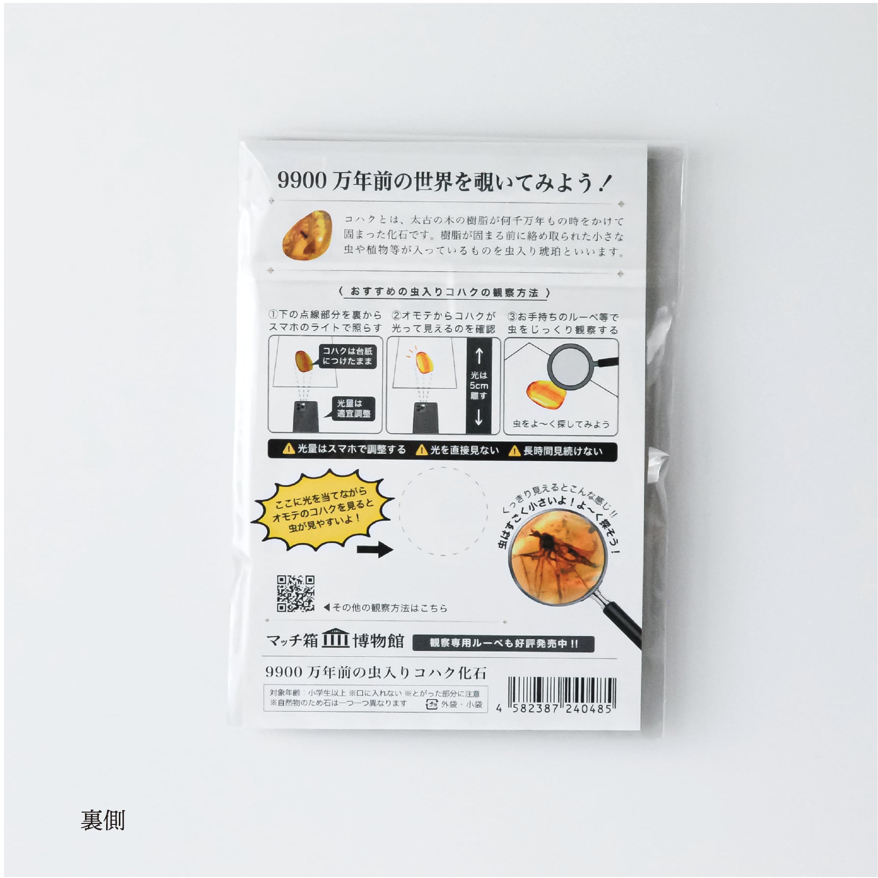 マッチ箱博物館 虫入りコハクのコレクション （マッチ箱なし） | MNH