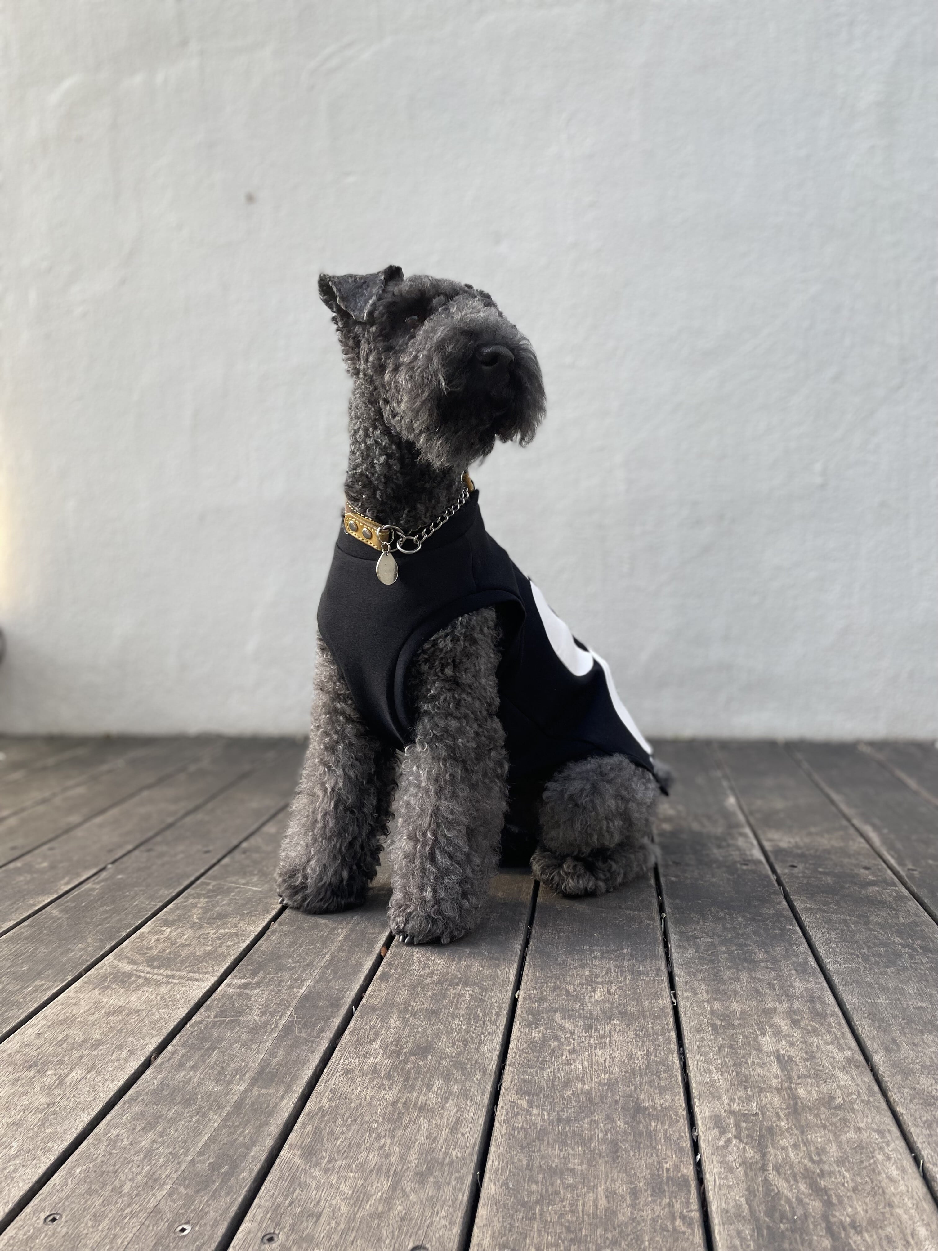 ハーフドット・タンクトップ〈BLACK＆WHITE〉 | n9un