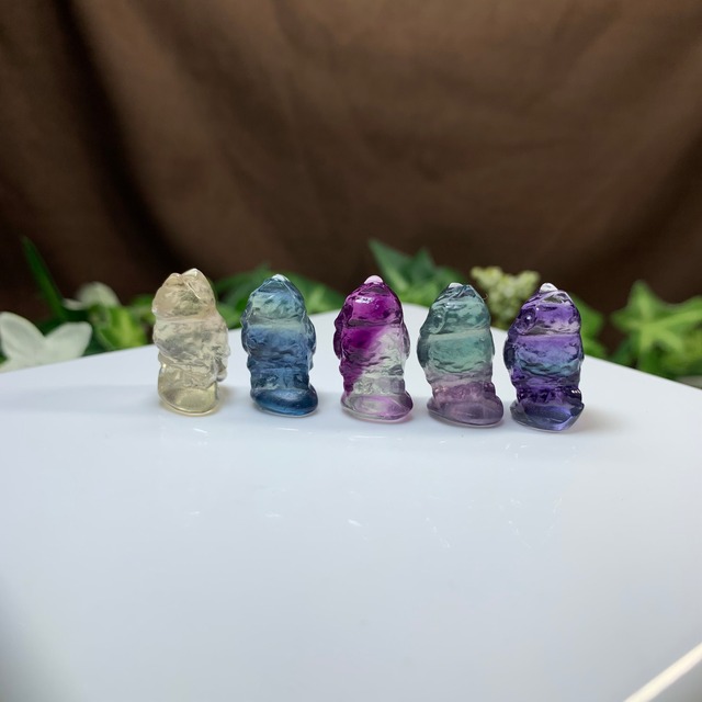 1.可愛い家族･小さいフローライトふくろう