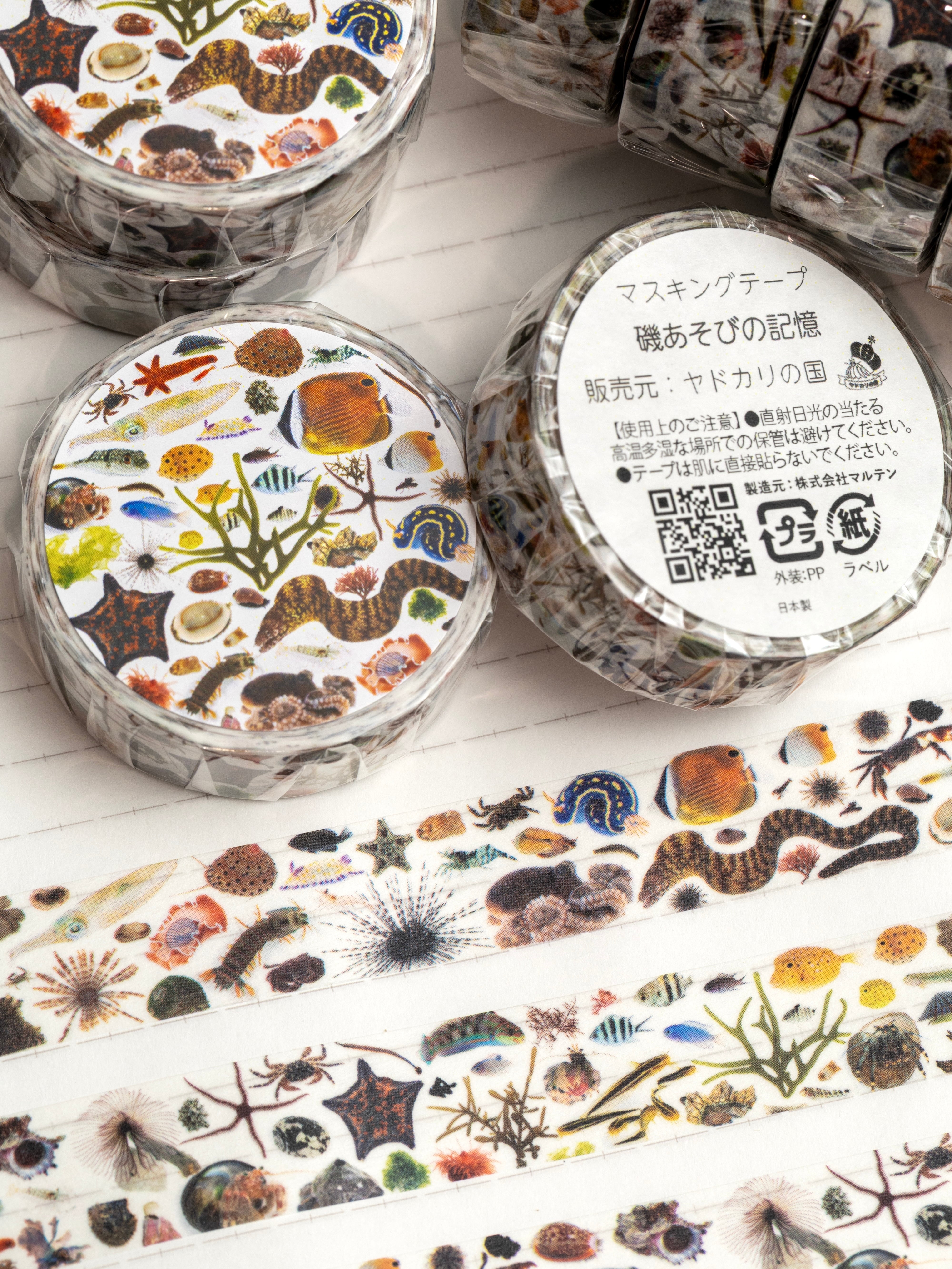 マスキングテープ】磯あそびの記憶 | ヤドカリの国