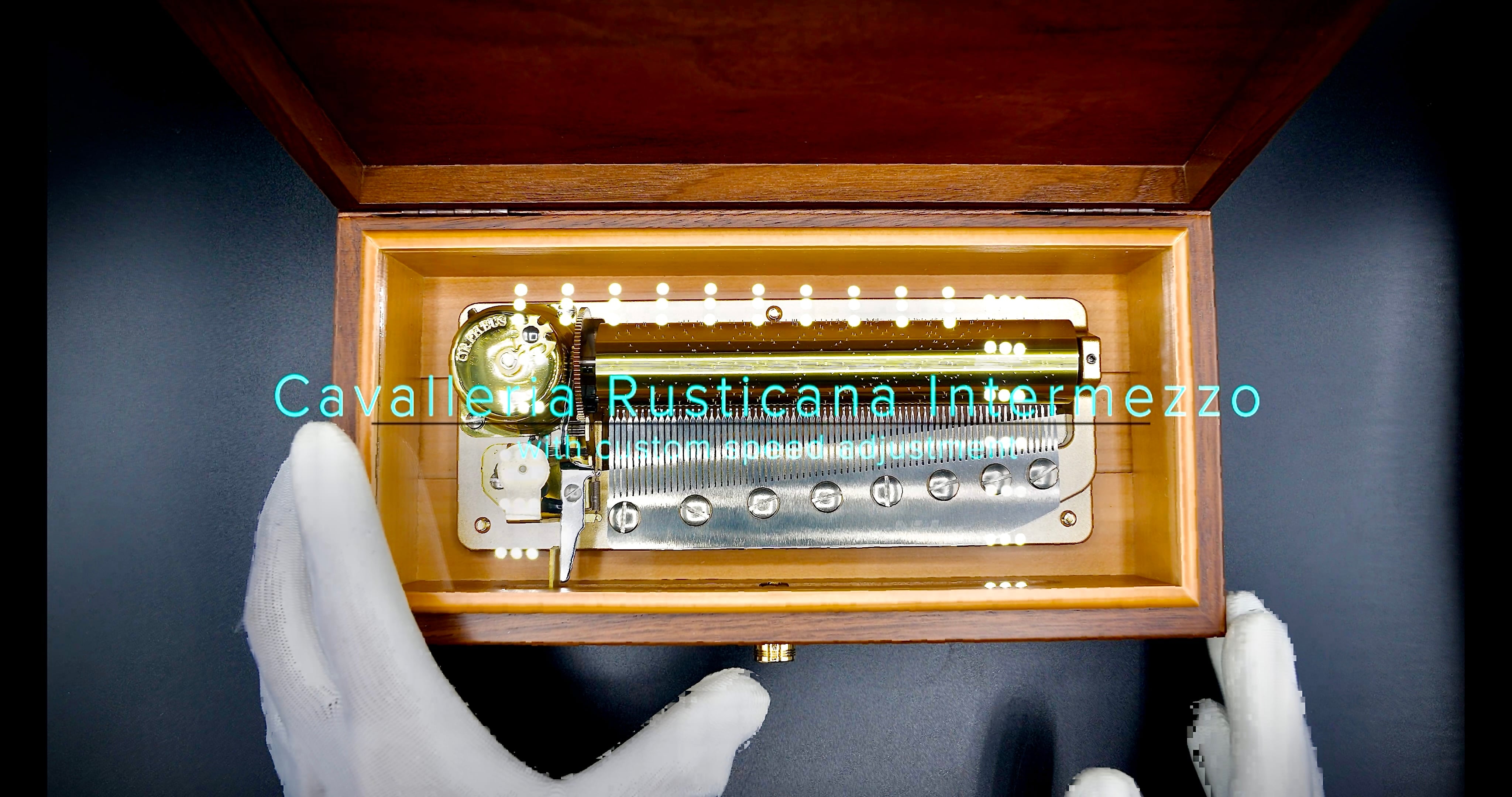 限定生産】ディスク45弁 縦置き型ディスクオルゴール | Pay ID