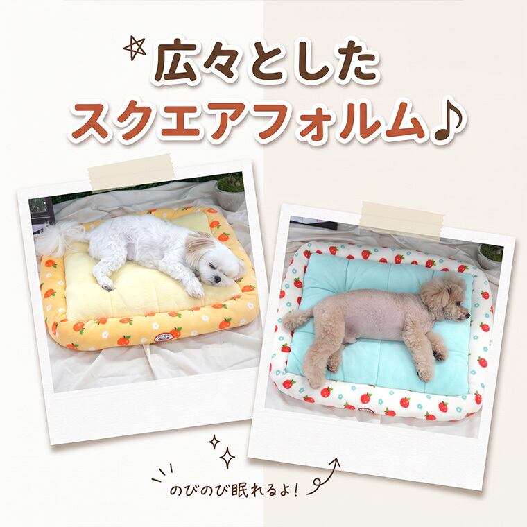 tangerine bed M size / 犬用 ベッド スクエア Mサイズ ふんわり 冬 クッション 滑り止め 韓国 ペットベッド 小型犬 中型犬 犬 ハウス 柔らか ふわふわ ソファー ボア もこもこ可愛い