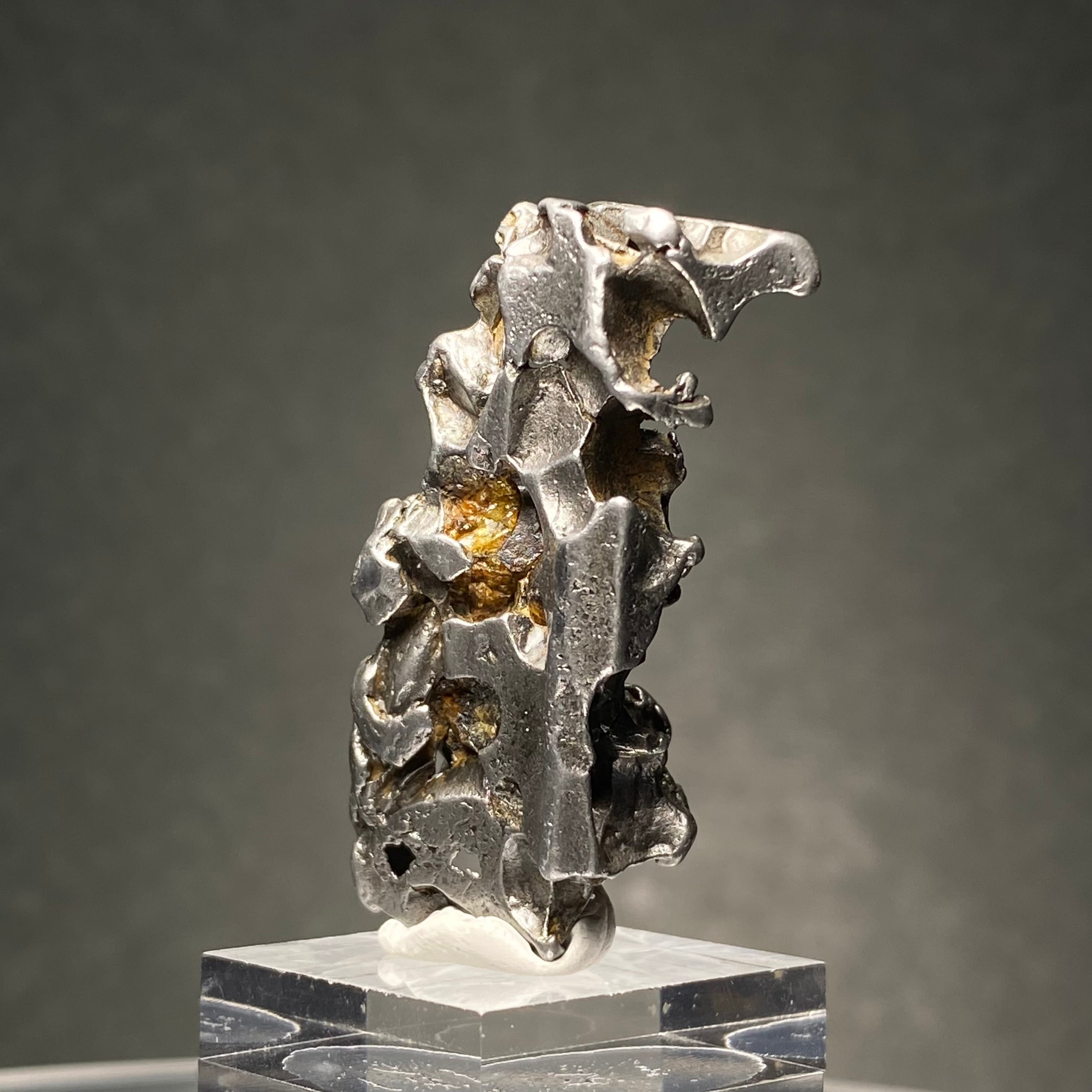 アートパラサイト隕石 セリコ    隕石屋メテオス