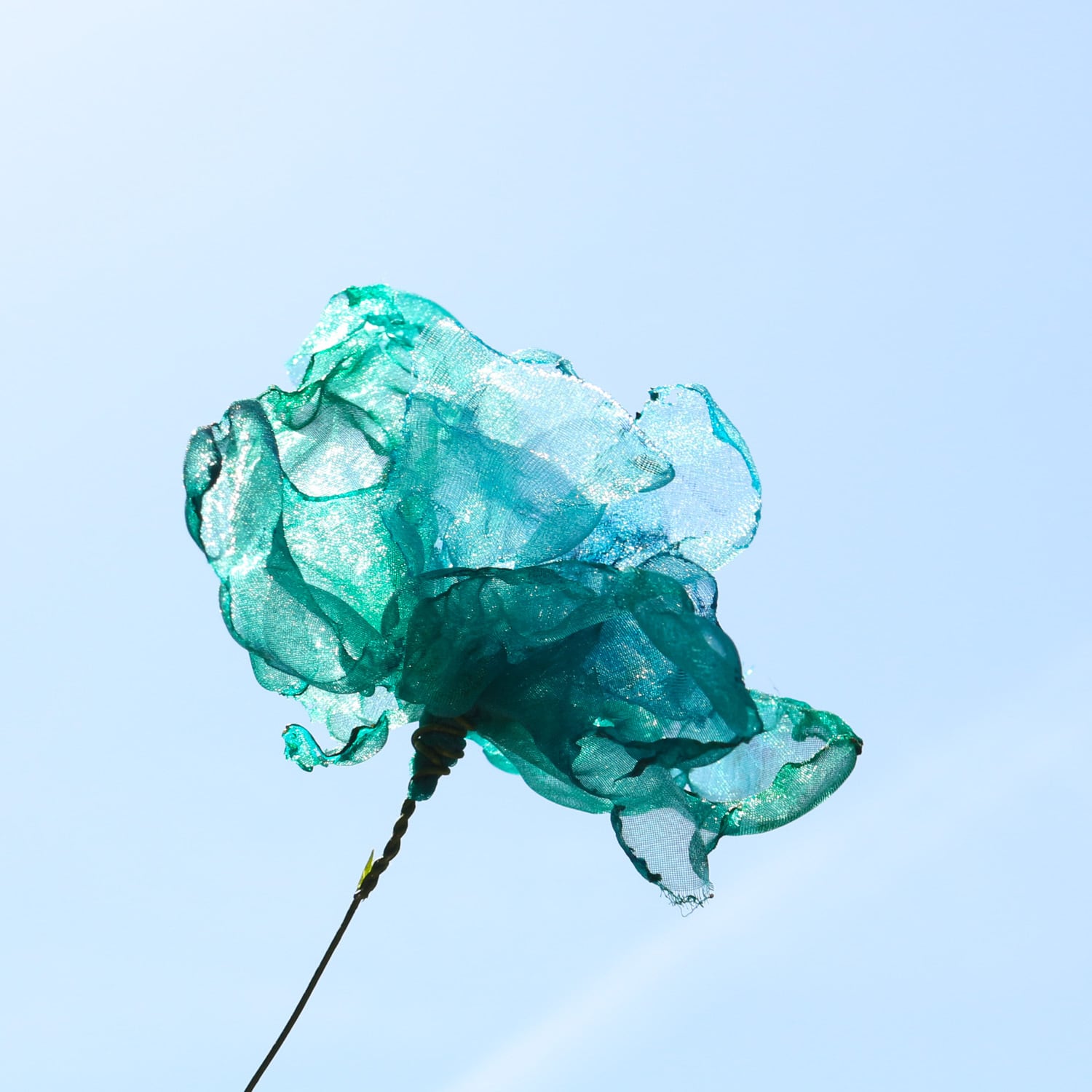 8a79ac0e14f11da8d0ab101cd25a7f