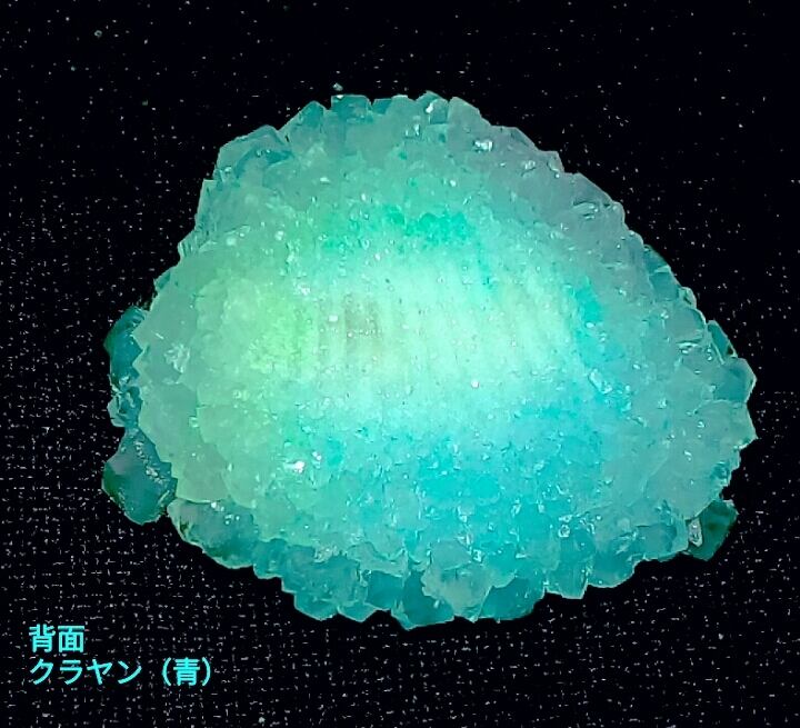 希少な貝殻！人気のクラヤン（青）パワーシェル | Power Shell Shop