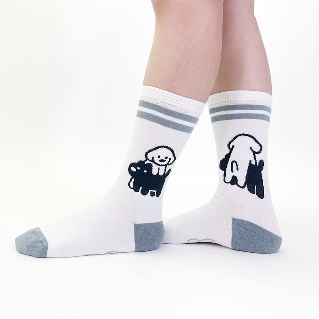 【matsui】SOCKS  ライン ホワイト ソックス