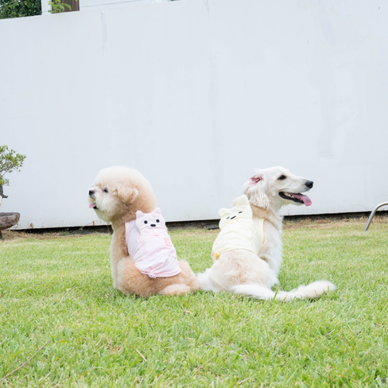 【PUPPYGARRERY公式】Big bear cooling tank　4XL-5XL