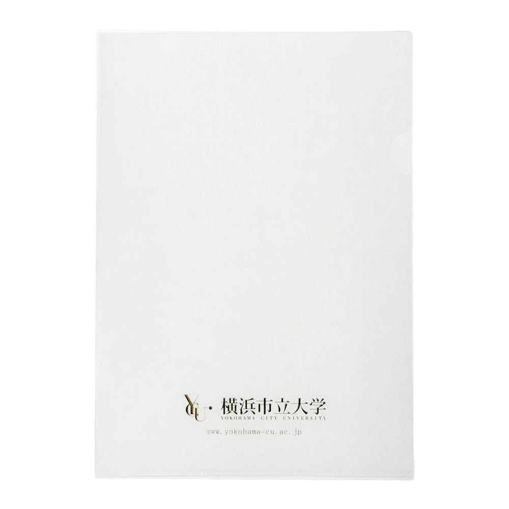 大学名入りオリジナルクリアファイル(特別価格品)