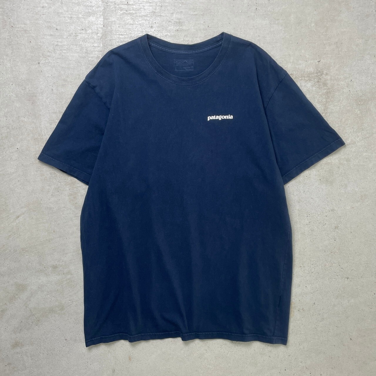 Patagonia パタゴニア プリント Tシャツ メンズL 古着 アウトドア ター 