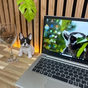 \ 公式ショップ限定価格❣️/ 極美品《2023年モデル》HP EliteBook 630 G10 メモリ16GB SSD256GB 第13世代 ノートパソコン 安心サポート＆3ヶ月保証付き