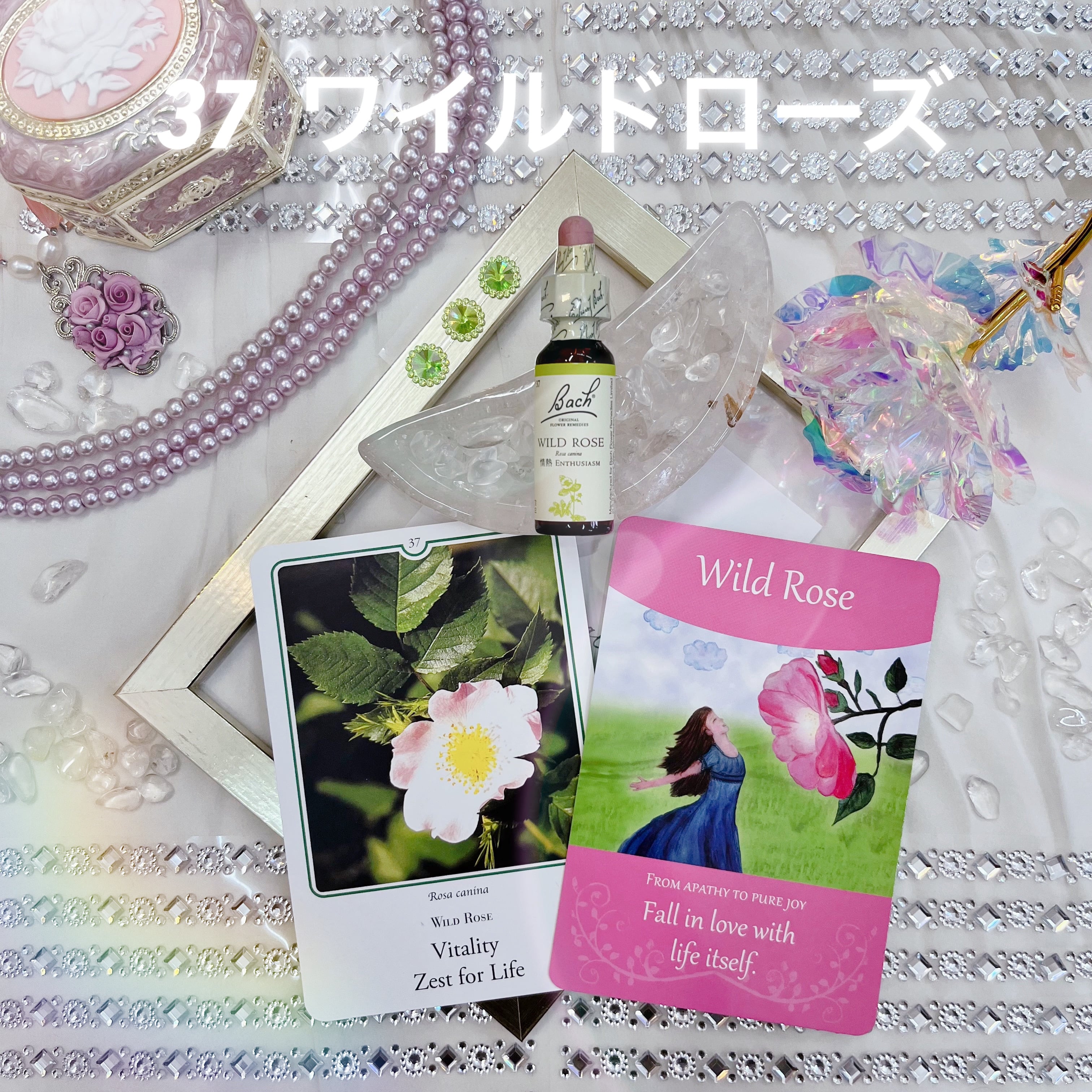 選べてお得なバッチフラワーレメディ 4本セット フラワーエッセンス