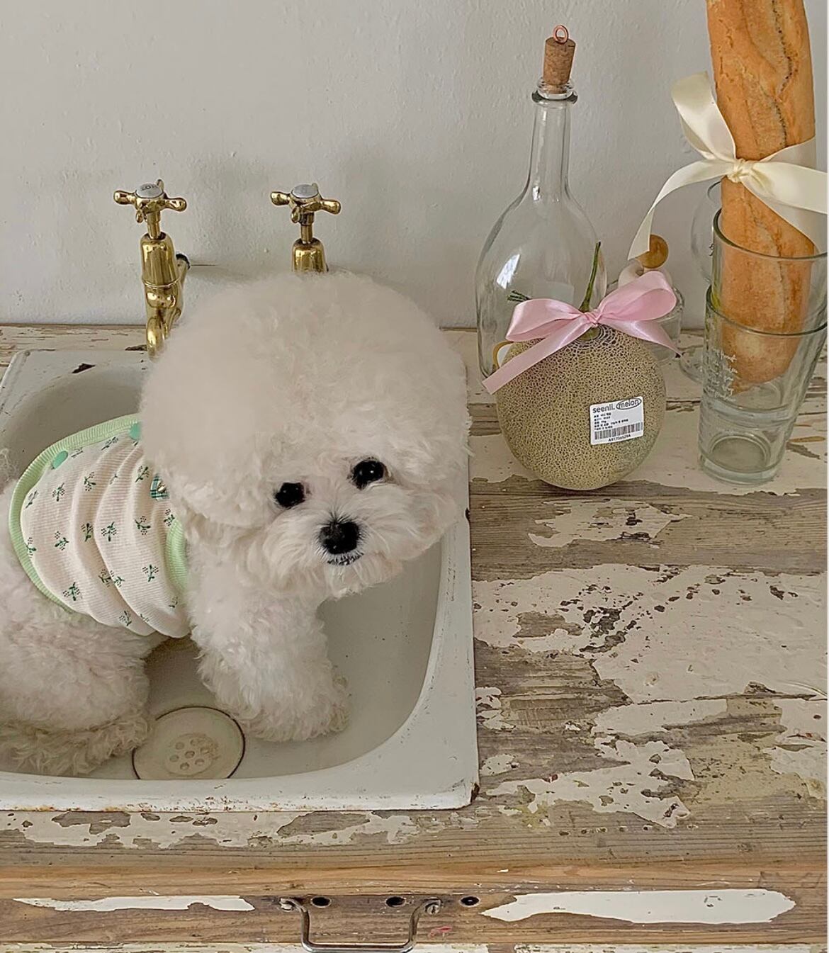 【seenii】pipo! crop top (Green)