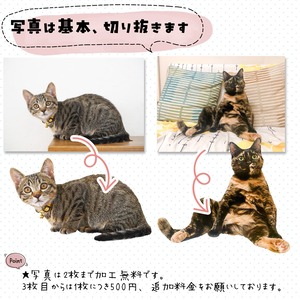 猫さん写真で作るトートバッグ｜学生さんなど、ご家族へのプレゼントに！