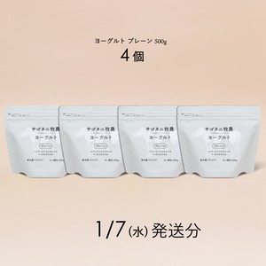 ヨーグルト プレーン 500g4個セット　1月7日（水）発送分