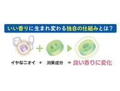 消臭スプレー空間用 ハビナース 香リ・フレッシュ 1スプレーで尿臭便臭対策 部屋 介護用 フレッシュフローラルの香り 約350回スプレー可能 250ml 日本製 1023196