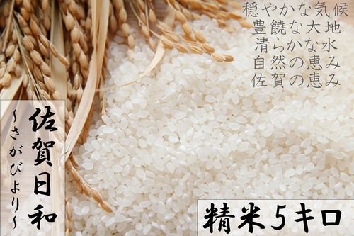 【R3収穫米】佐賀県産『さがびより（精米5kg）』