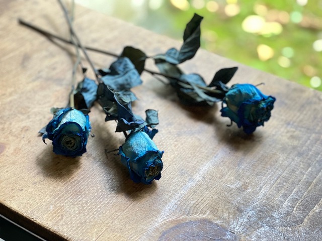 青バラ 着色 ドライフラワー 1束4 5本組 花材 素材 Cercele
