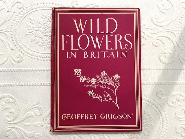 【CM400】Wild Flowers In Britain / display book