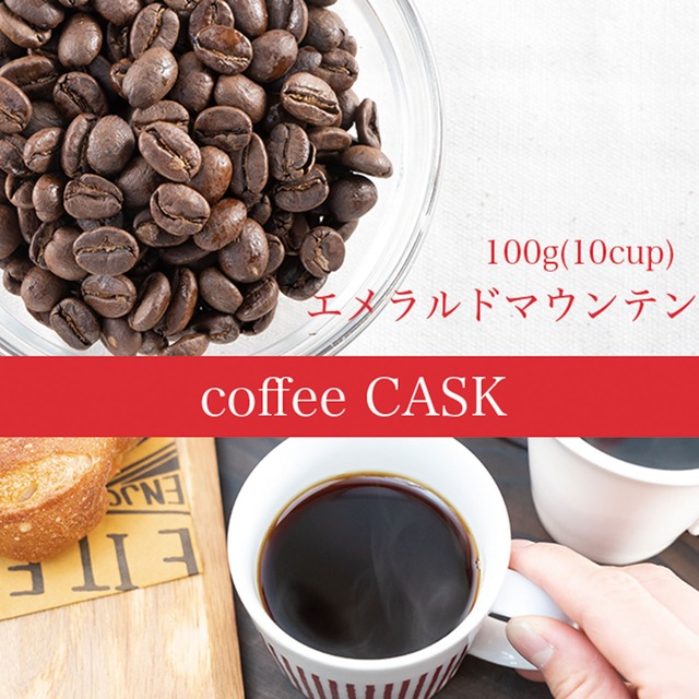 エメラルドマウンテン・100g（10杯分）レギュラーコーヒー　まろやかで豊かな香り！