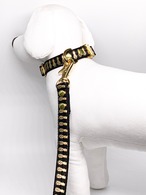 Collar&Leash set (black&pineapple)
