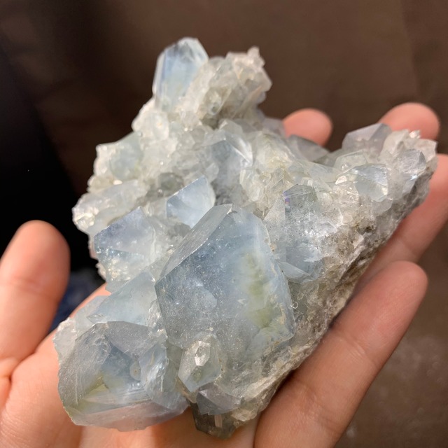 3セレスタイトに住み着いているフローライトハリネズミさん