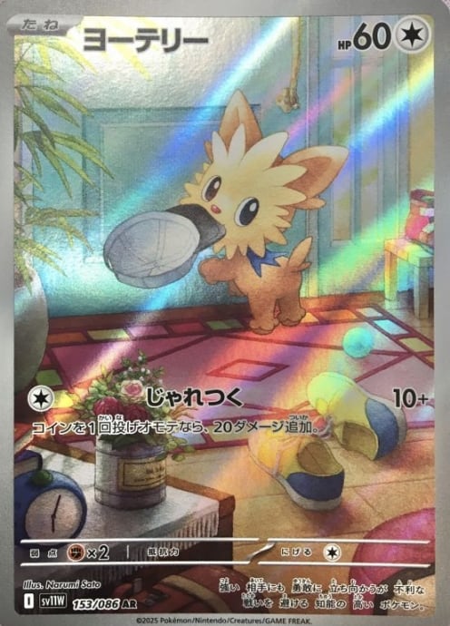 【美品】ヨーテリー(AR)