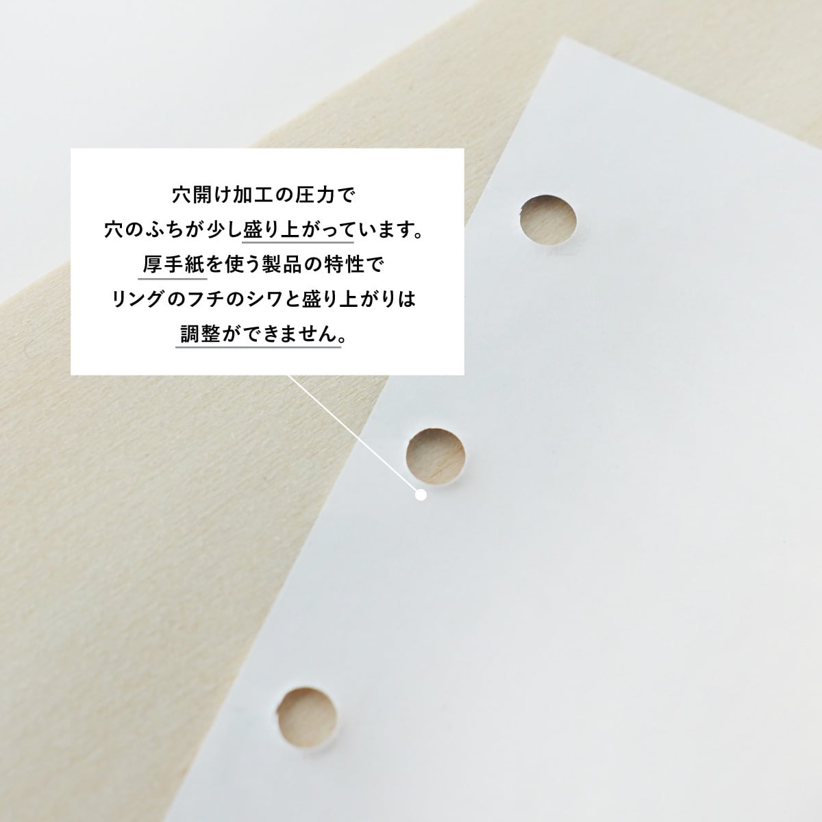 M5 ] ホワイト【穴有】・トイリフィル | ASANEL