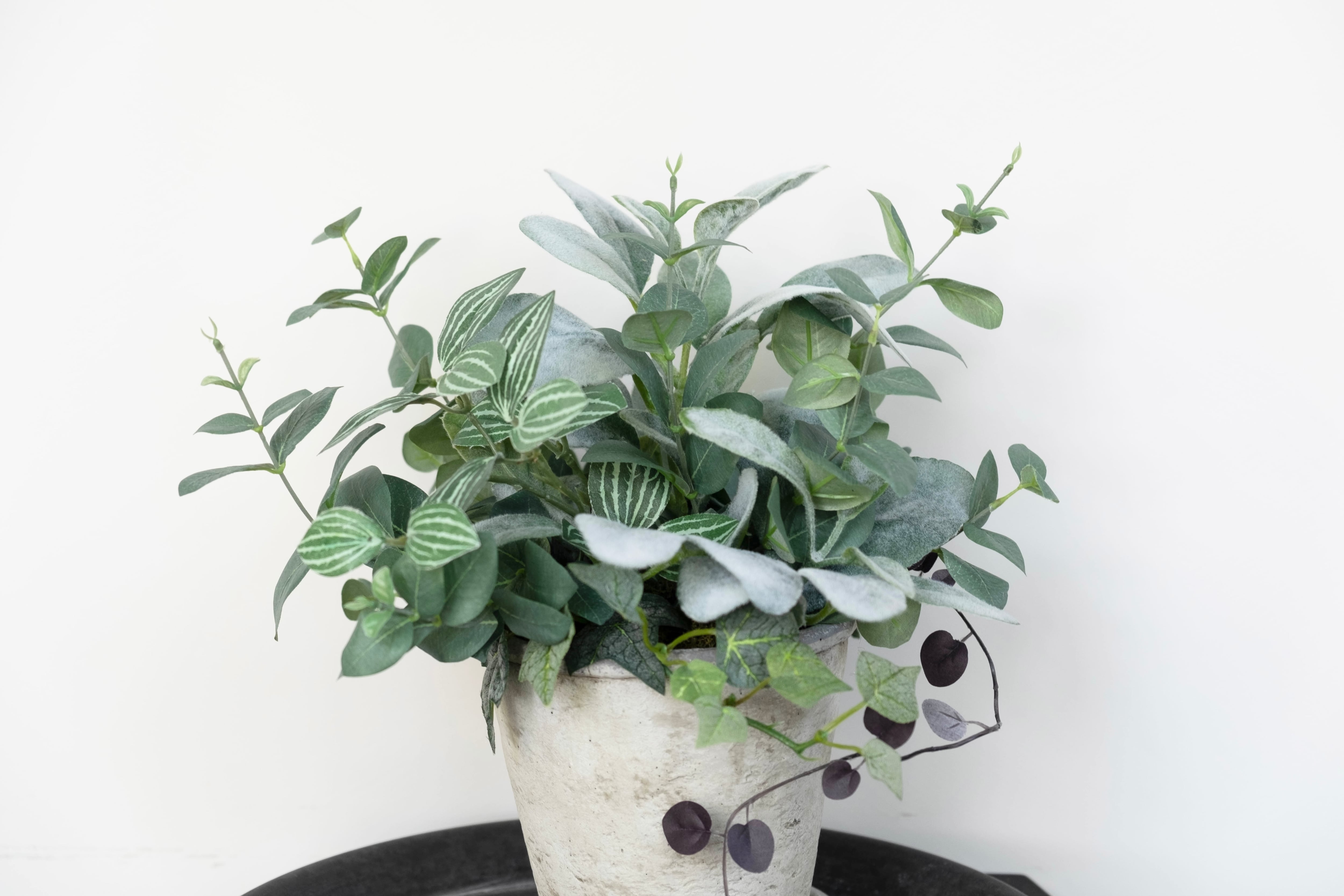 グリーン寄せ植えMix pot/アーティフィシャルグリーン/フェイク