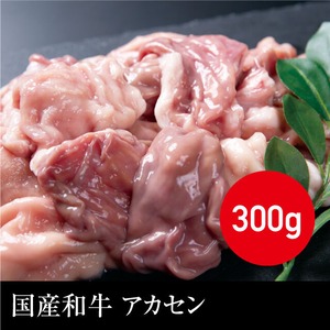 送料無料 国産和牛 アカセン（真空パック） 冷凍 300g