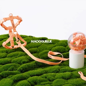 【MAOGOUBLUE】【セット】ONE by ONE マカロンカラーハーネスリードセット