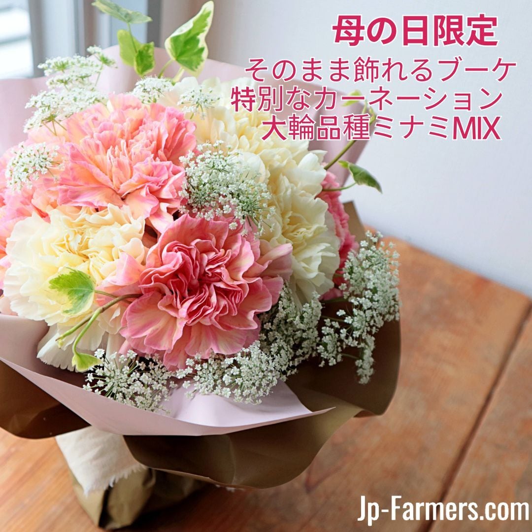 稀少で繊細！だけど虜になるダリア カフェオレ 5本 | 新鮮お花問屋 Jp