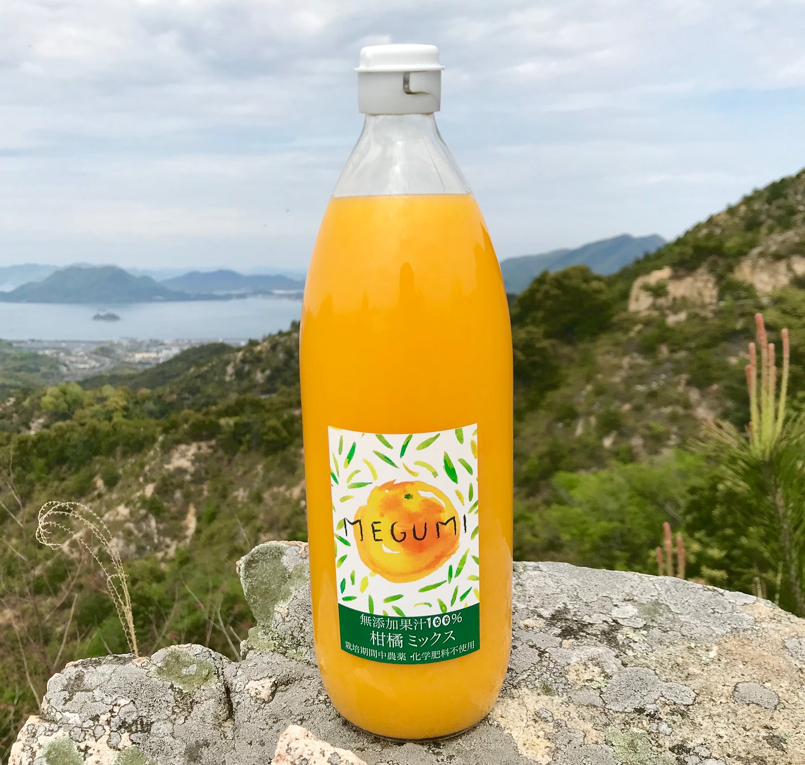 柑橘ミックスジュース 1000ml 無添加100％ 3本 | 島恵自然農園