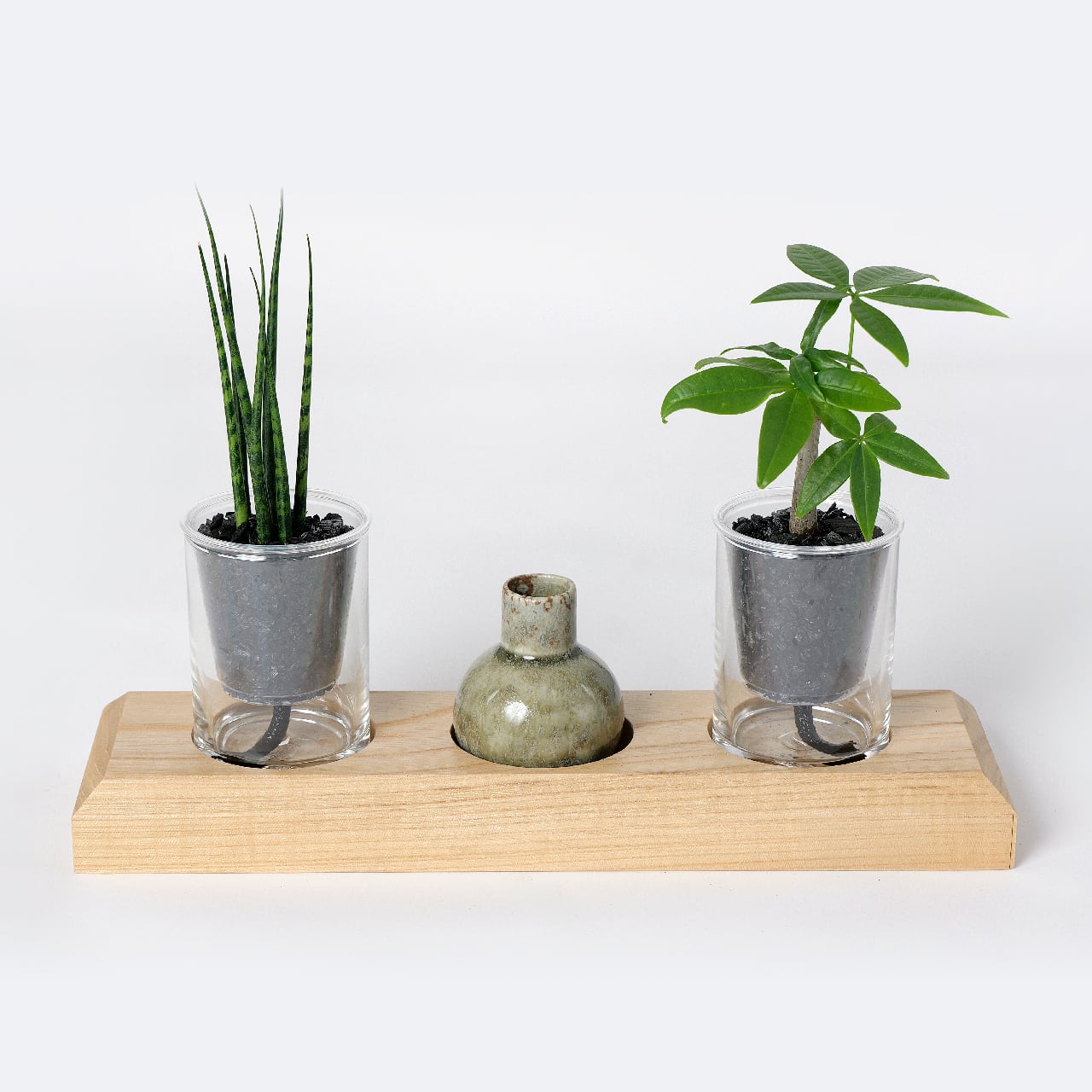 選べる炭の樹・花瓶セット【炭の樹 2鉢・花瓶 1個】 | sumino
