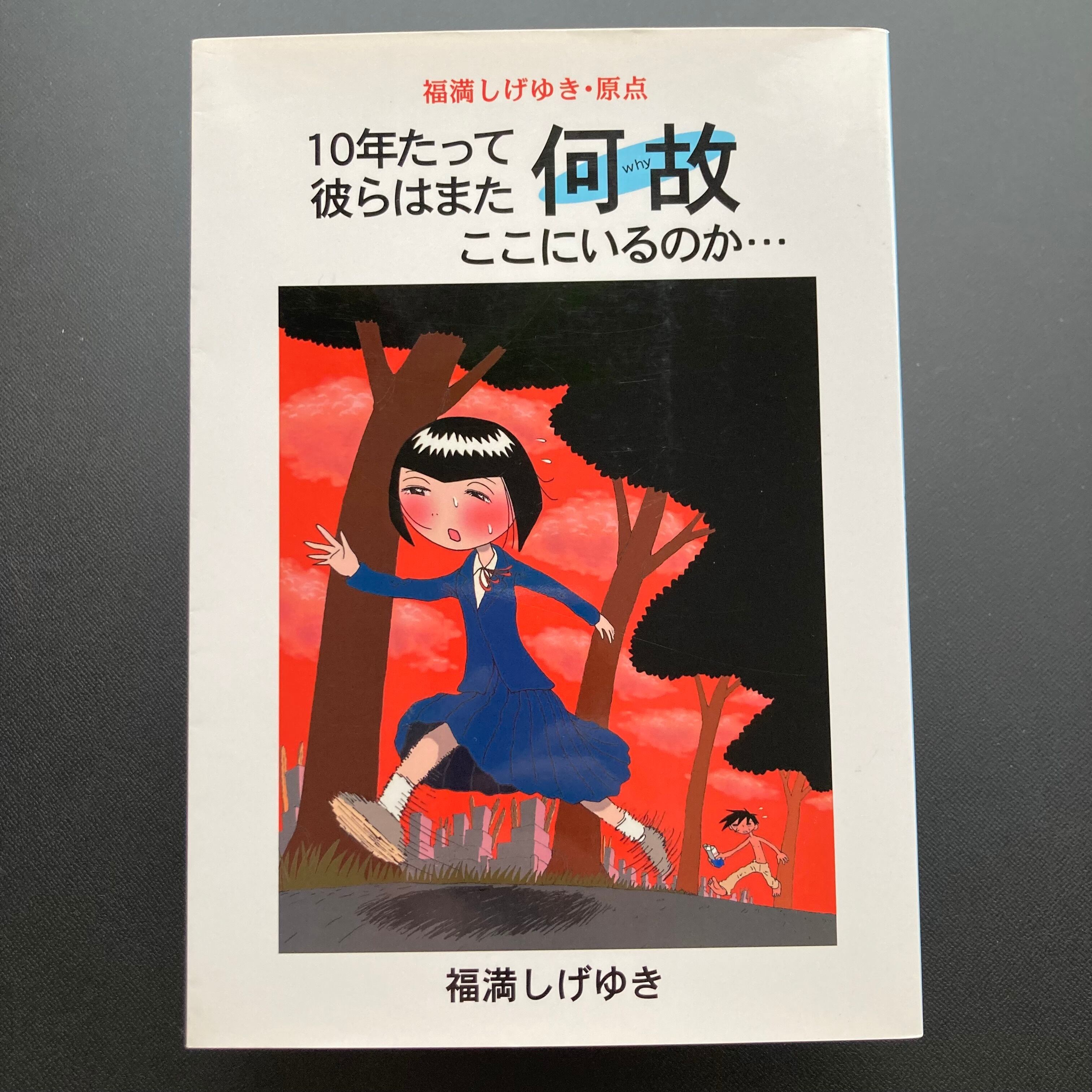 Points of View 視線の変遷 野又穫作品集 | ロムド書店