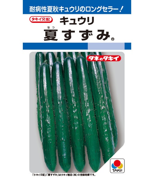キュウリ「節成りスマート」（350粒） 画像