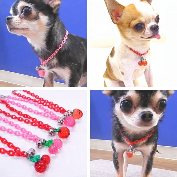 スキップドッグ！ 鈴付 フルーツ プラチェーン チョーカー チワワ 犬