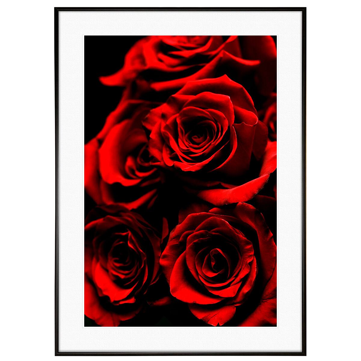 花写真 赤いバラ インテリアアートポスター額装 AS0602
