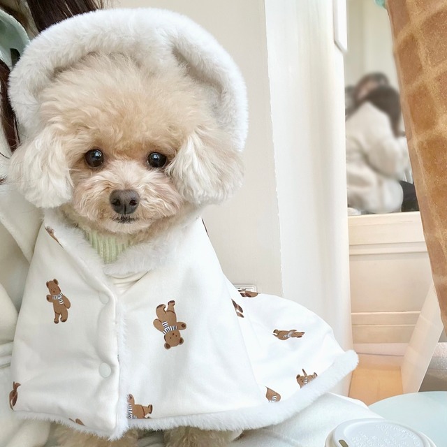 【予約】ベアポンチョブランケット（L）