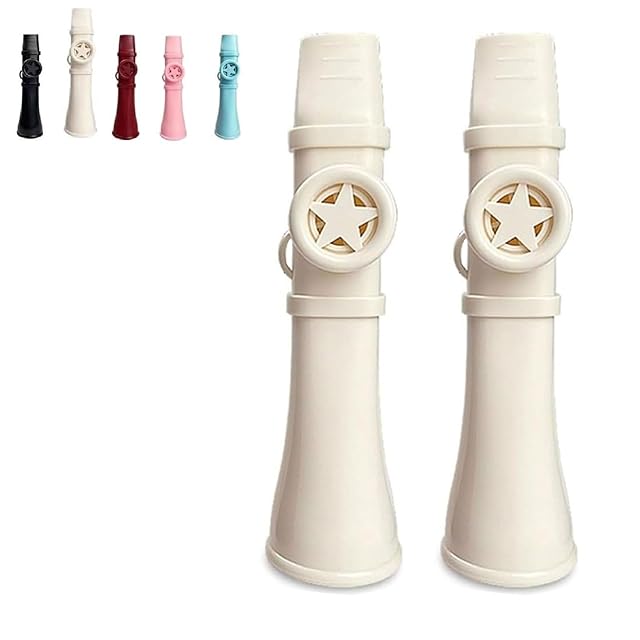 限定生産】ディスク45弁 縦置き型ディスクオルゴール | Pay ID