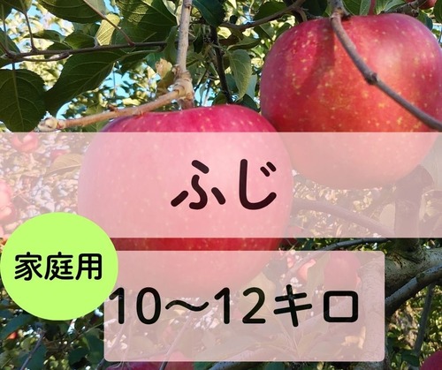 ☆11月25日から　ふじ【家庭用10～12キロ】5,800円(税込)